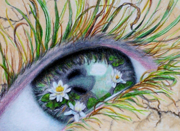 Gemaelde von Kati: Regen!