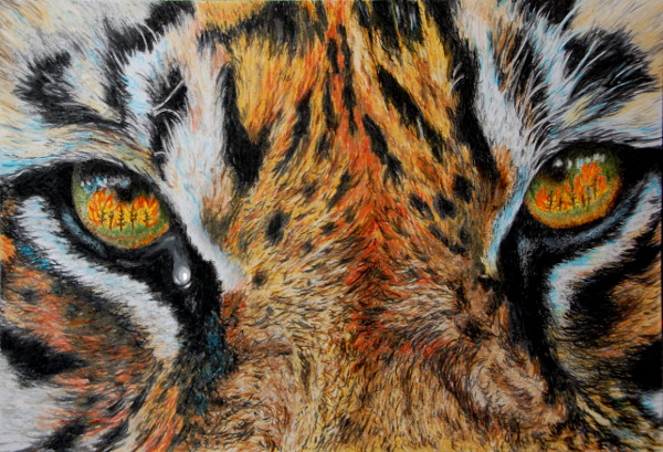 Gemaelde von Kati: Tiger