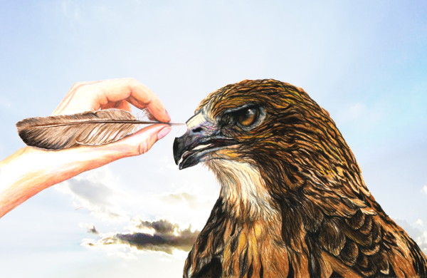 Gemaelde von Kati: Zauberfeder